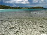 Playa La Plata - VIEQUES